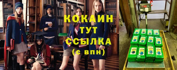 метадон Няндома