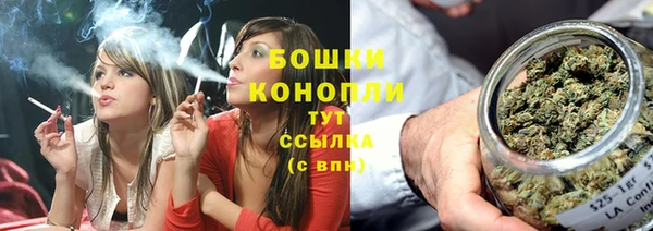 дживик Осташков