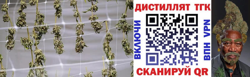 ТГК вейп  Купить где  Хабаровск 