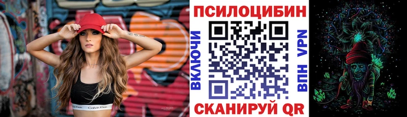 Купить закладки  Хабаровск  Псилоцибиновые грибы прущие грибы 